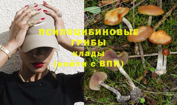 прущие крисы Баксан