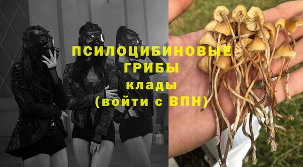 MDMA Premium VHQ Аркадак