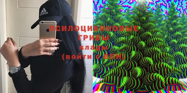 не бодяженный Сатка